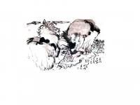 艺术家侯景耀日记:观山水.抗疫情.
一画家侯景耀【图3】