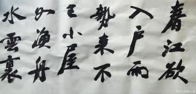 陈文斌日记-临帖书法作品录苏轼《寒食雨》
春江欲入户，雨势来不已。 
小屋如渔舟，濛濛水【图1】