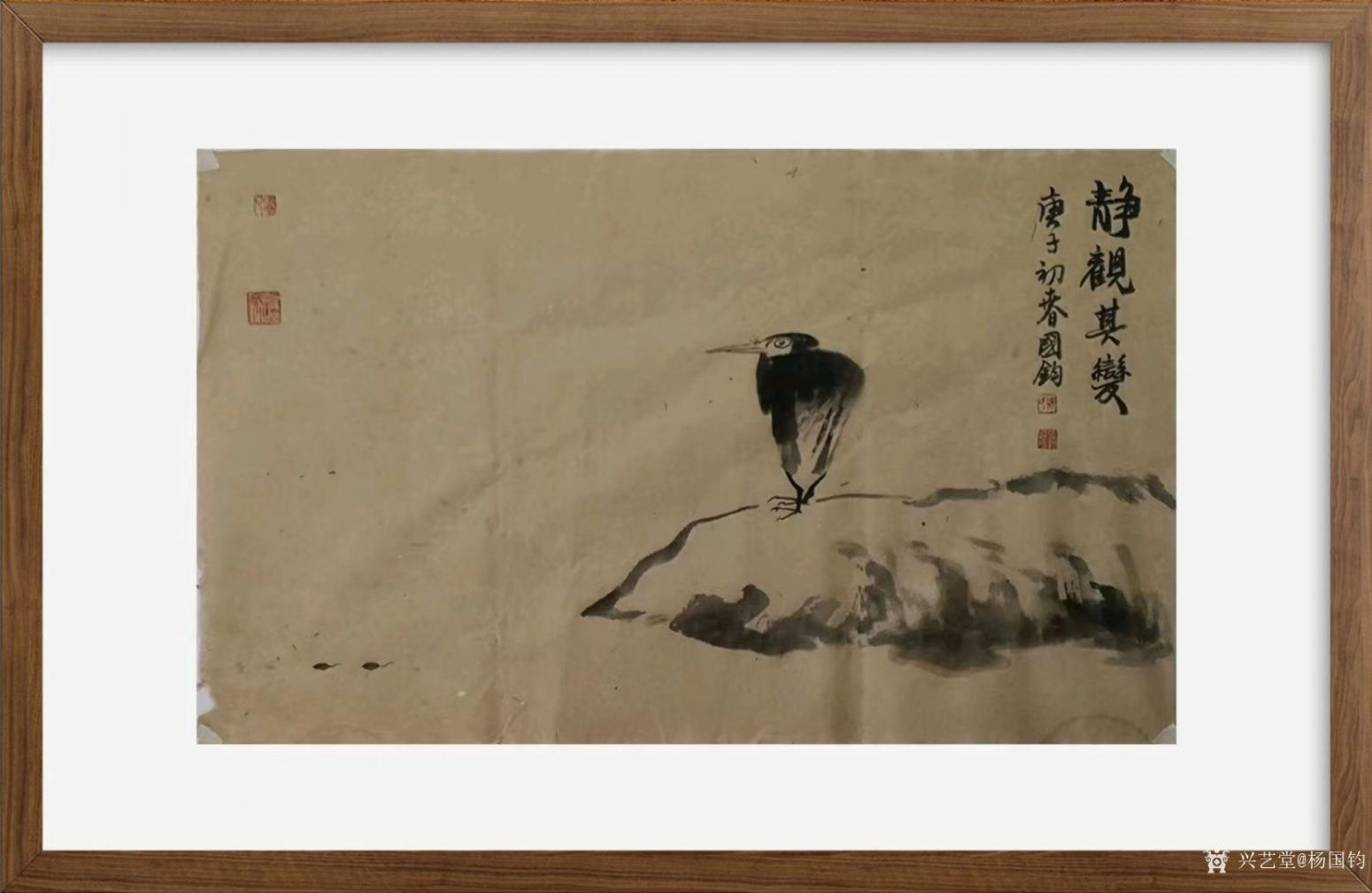 杨国钧国画作品《花鸟-静观其变》