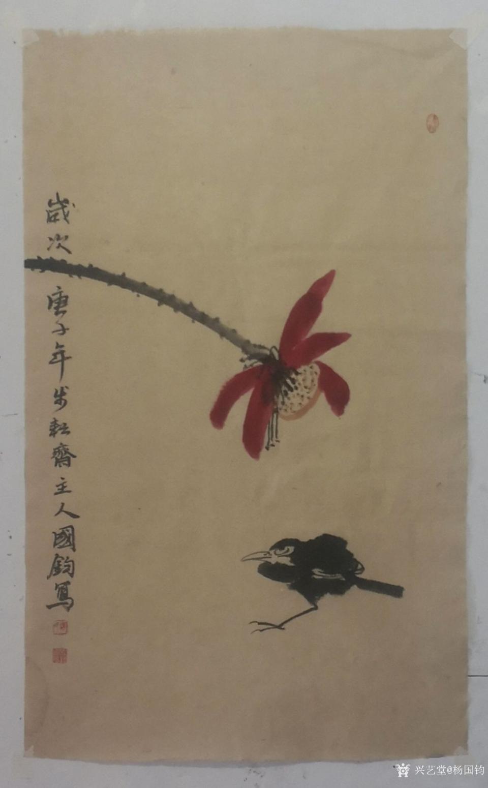 杨国钧国画作品《小写意花鸟画》【图0】