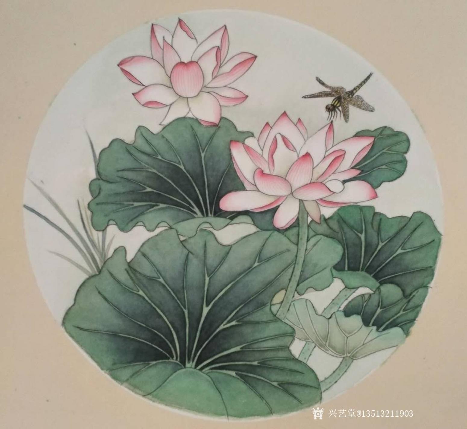 花絮国画作品《工笔画荷花》