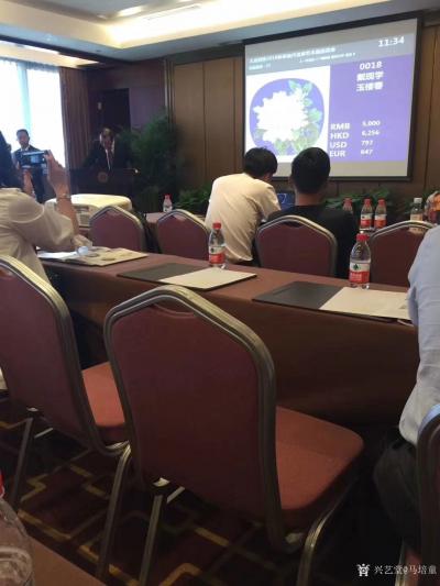 马培童荣誉-拍卖行情和画展总结（从2016年底走出去到广东、惠州、深圳、香港、至2019年底【图2】