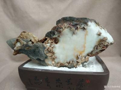 杨增超收藏-白灵玉原石欣赏《高山积雪》；
白灵玉原石欣赏《年年有鱼》；
白灵玉原石欣赏《【图1】