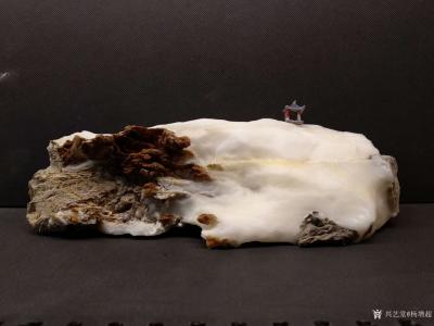 杨增超收藏-白灵玉原石欣赏《高山积雪》；
白灵玉原石欣赏《年年有鱼》；
白灵玉原石欣赏《【图3】