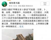 艺术家杨牧青日记:第二天记事如此：癸巳，卜，青，雨后大骤风，从寅至未不息，王占【图0】