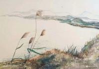 艺术家王征明日记:水意画春夏秋冬四季图，宁静、空灵，请欣赏；
水意画：以无法【图2】