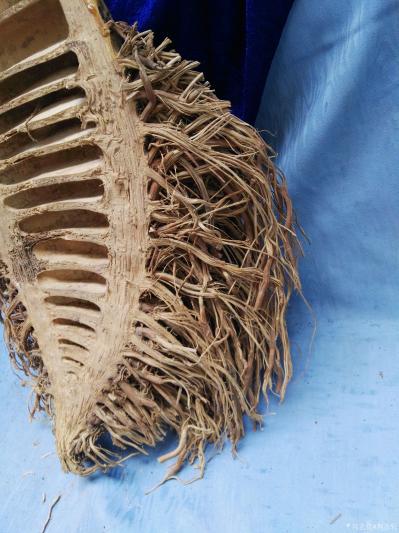 荆古轩收藏-收藏八九十年代的老竹根雕——此人物寿星竹雕工法精到，开脸生动，借用天然的竹根取其【图7】