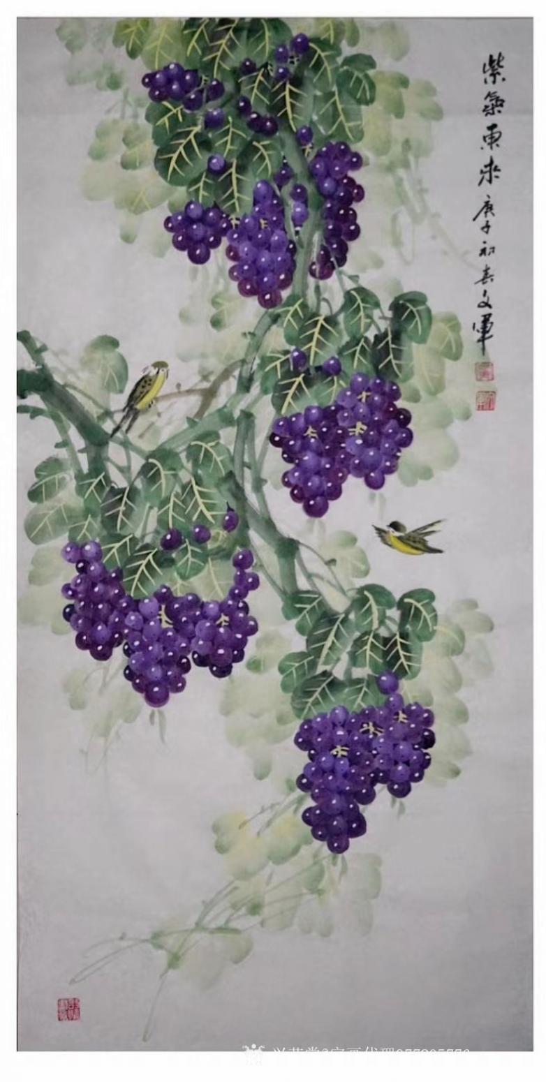 字画代理威977805476国画作品《党文军精品葡萄收藏》