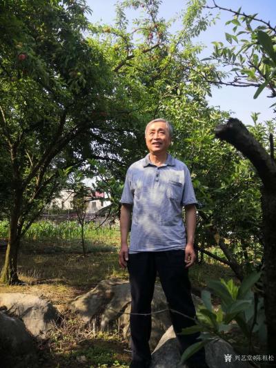 陈祖松生活-李子红了味道甜。【图4】