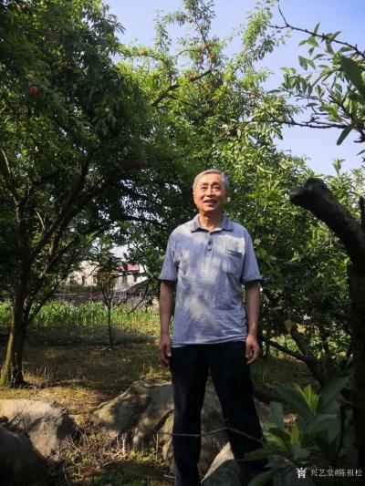 陈祖松生活-李子红了味道甜。【图6】