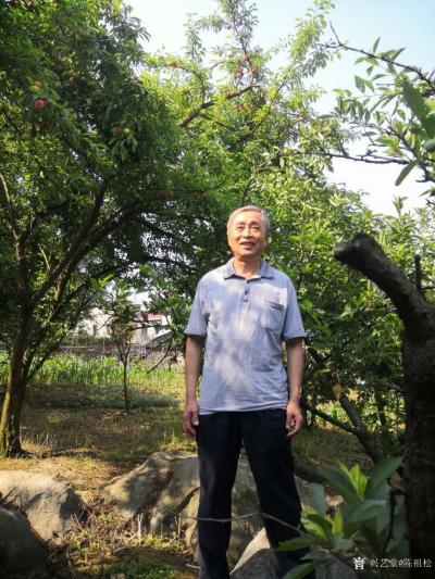 陈祖松生活-李子红了味道甜。【图7】