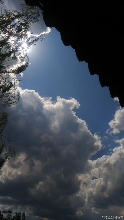 杨牧青日记-相由心生：达摩祖师东渡传佛陀释迦法语，后广化于麻衣相等五术玄学教化中！
象由性【图2】