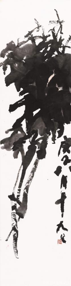 鉴藏文化收藏-崔大有（石缶）庚子年花鸟作品选——（三）【图4】