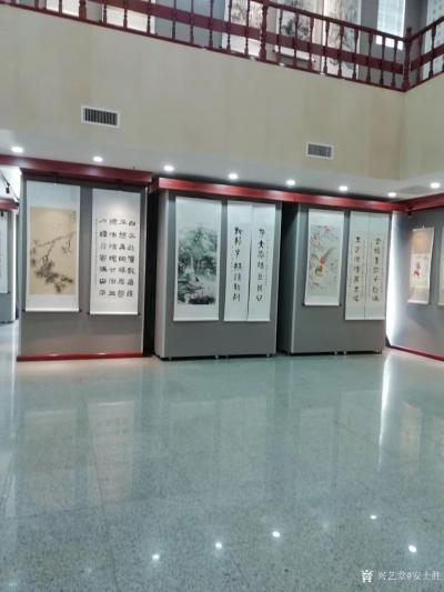 安士胜收藏-“勇担使命 同抗疫情”西青区新冠病毒疫情防控主题创作展览于2020年5月21日上【图1】