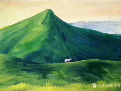 王征明荣誉-此幅水意画《苍山马独行》尺寸54x39厘米，刊载过二十一家媒体，转载十几万次，展【图1】