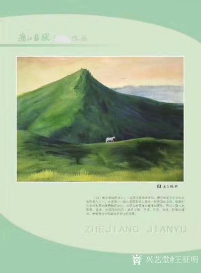 王征明荣誉-此幅水意画《苍山马独行》尺寸54x39厘米，刊载过二十一家媒体，转载十几万次，展【图2】