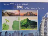 艺术家王征明荣誉:此幅水意画《苍山马独行》尺寸54x39厘米，刊载过二十一家媒【图3】