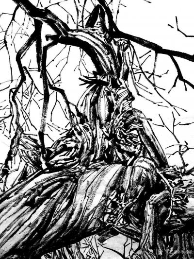 马培童日记-童心写历（4）焦墨画大写意特点一（即兴画大写意和创作大写意）。
  焦墨画看起【图4】