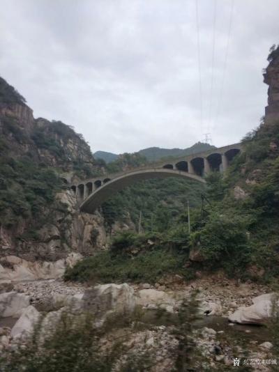 郑诚日记-国画山水画写生作品《大柳树院子》《十七号大桥》，请欣赏；
庚子年仲夏社川河大柳【图1】