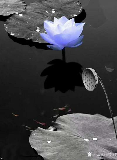 许永钢日记-行书书法作品《当知法无我，应以戒为师》
   小时候常常背诵“出淤泥而不染”，【图2】