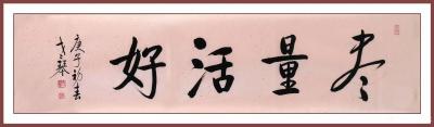 秦发艺日记-书法作品《尽量活好》，解义：尽量地学习，尽量地做事，尽量地挣钱，尽量地经历，尽量【图1】