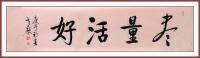 艺术家秦发艺日记:书法作品《尽量活好》，解义：尽量地学习，尽量地做事，尽量地挣【图0】