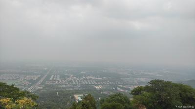 杨牧青日记-诗歌《西山行吟》一一2020年端午杨牧青于西山
我在山坳里长啸一声，
阵阵松【图1】