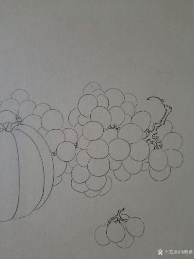 马晓薇日记-为学员示范水果国画白描写生画法；西瓜写生、葡萄写生；【图4】