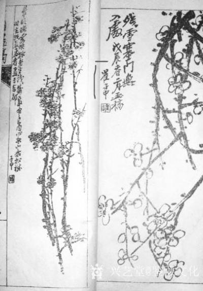 鉴藏文化日记-艺术家红不得脸，出不得汗，瞪不得眼，只乐意被捧杀，舔得舒服，终究安乐死。
赏画【图2】