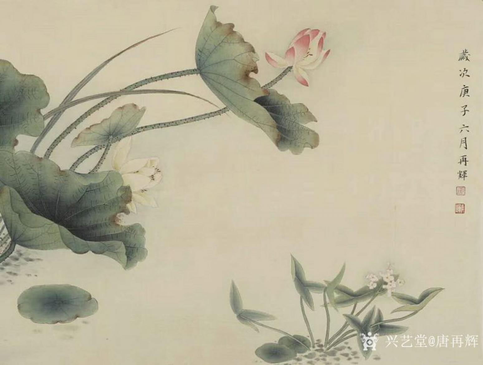 唐再辉国画作品《工笔花鸟-荷花1》【图0】