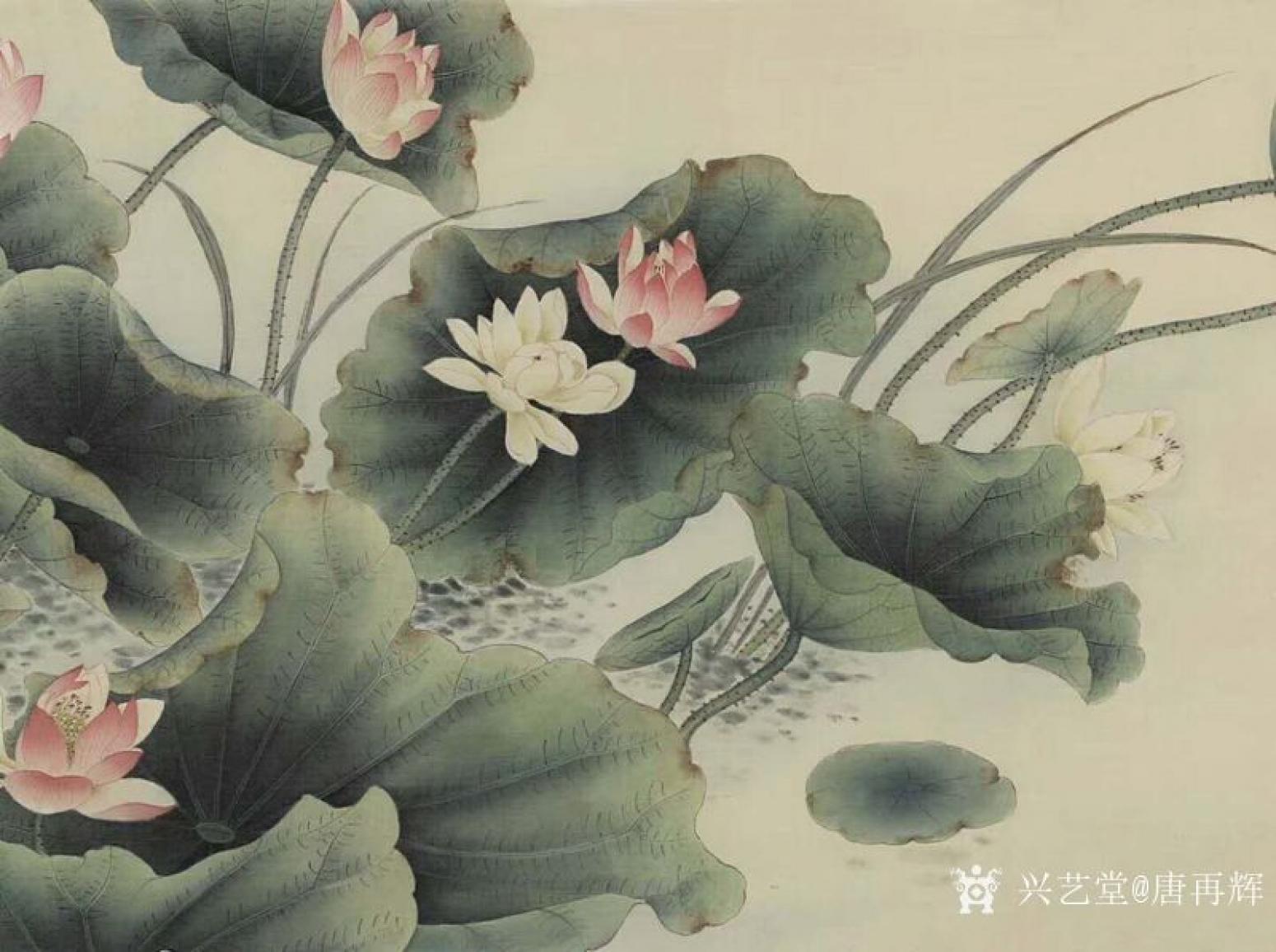 唐再辉国画作品《工笔花鸟-荷花1》【图1】