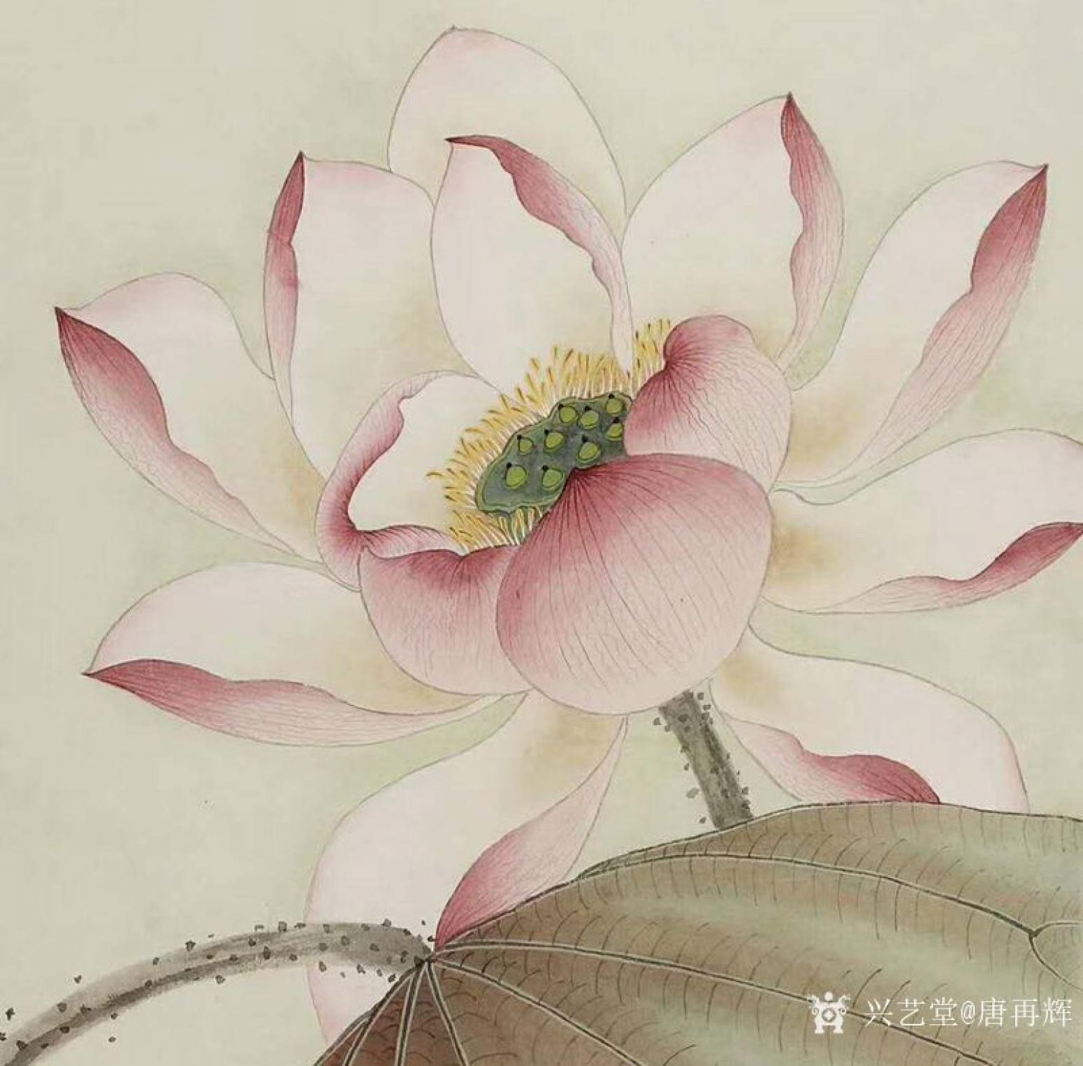 唐再辉国画作品《工笔花鸟-荷花2》【图1】