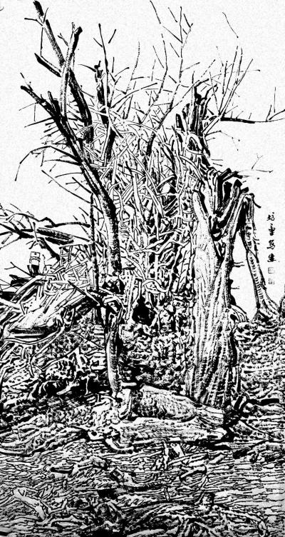 马培童日记-“焦墨画的创作和水墨画创作之不同之处”童心写历（20）
 中国焦墨画的创作和水【图2】