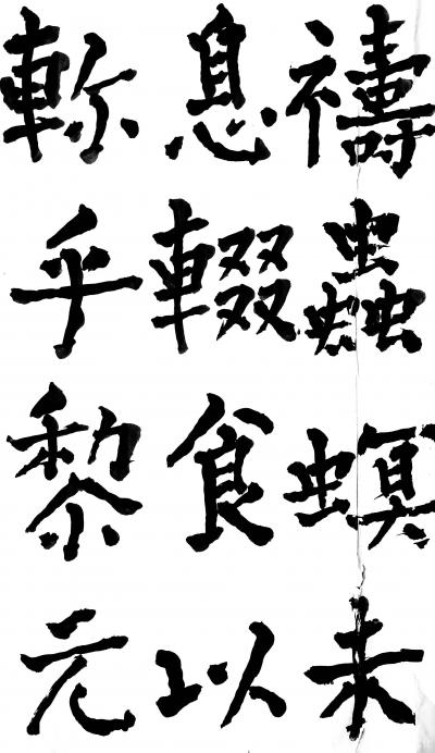 鉴藏文化日记-书法作品：《神策军碑》、《李晟碑》、《复东林寺碑》。
 所传图片仅为留图，诸师【图27】