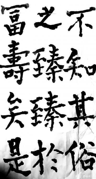 鉴藏文化日记-书法作品：《神策军碑》、《李晟碑》、《复东林寺碑》。
 所传图片仅为留图，诸师【图28】