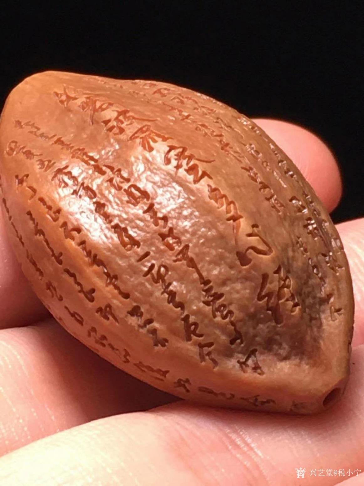 税小宁雕刻作品《核雕般若波罗密多心经》【图2】