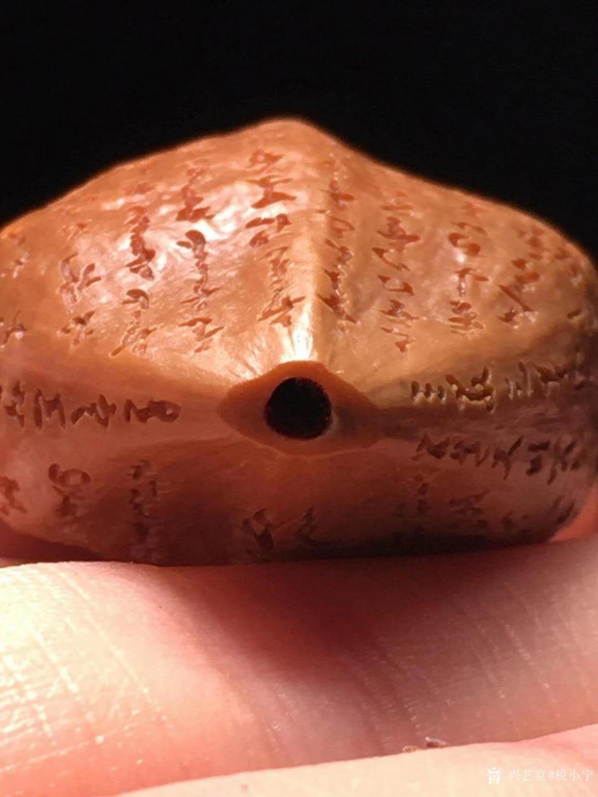 税小宁雕刻作品《核雕般若波罗密多心经》【图4】