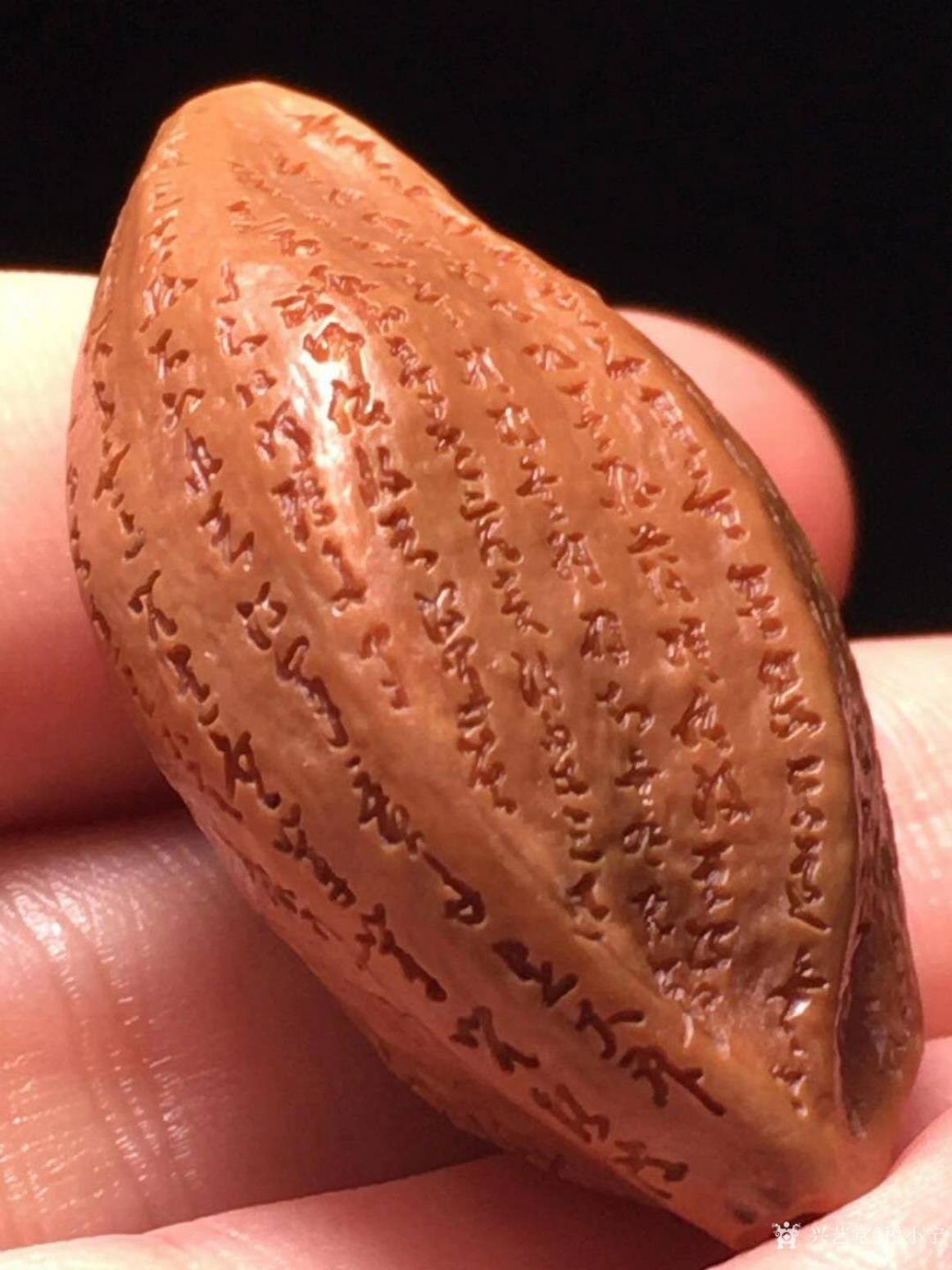 税小宁雕刻作品《核雕般若波罗密多心经》【图5】