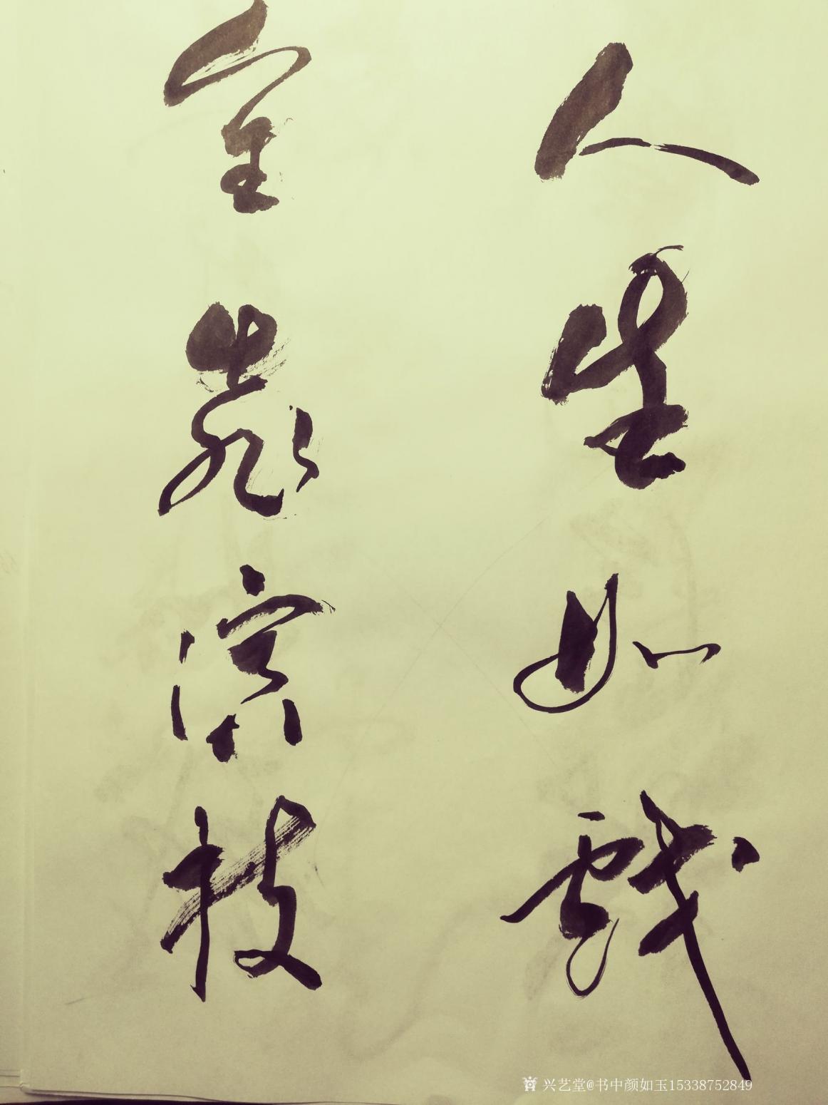 书中颜如玉15338752849书法作品《书品订制》【图5】