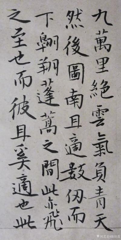 陈培泼日记-一组小楷书法作品录先秦庄周的《逍遥游》等
抟扶摇羊角而上者九万里，绝云气，负青【图1】