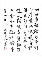 艺术家陈培泼日记:一组书法作品分享：录毛泽东《沁园春·长沙》等；
独立寒秋，【图5】