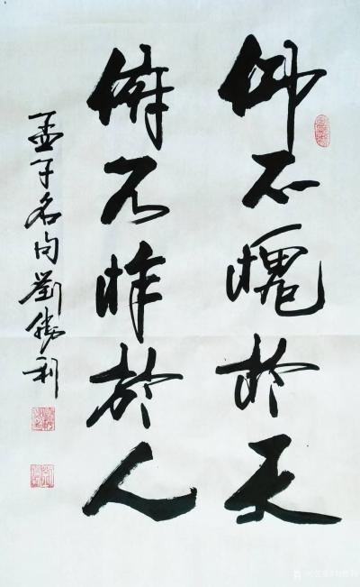 刘胜利日记-行书书法作品录孟子名句《仰不愧于天，俯不怍于人。》
  应河北省廊坊市于总之邀【图1】