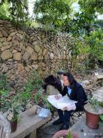 艺术家安士胜收藏:天津市西青区文化馆野外采风；
 从一片叶子开始，继续做着并【图2】