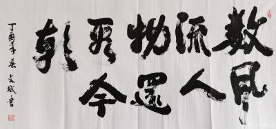 陈文斌日记-书法练笔作品：毛泽东主席名句“数风流人物，还看今朝！”【图1】