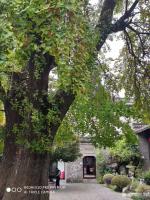 艺术家徐家康收藏:扬州八怪纪念馆之所以选择位于驼铃巷的西方寺，只因后院是金农晚【图2】