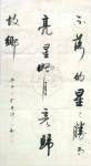 许永钢日志-行草书法作品“不落的星星胜月亮，星明月亮归故乡。”庚子年冬月【图1】