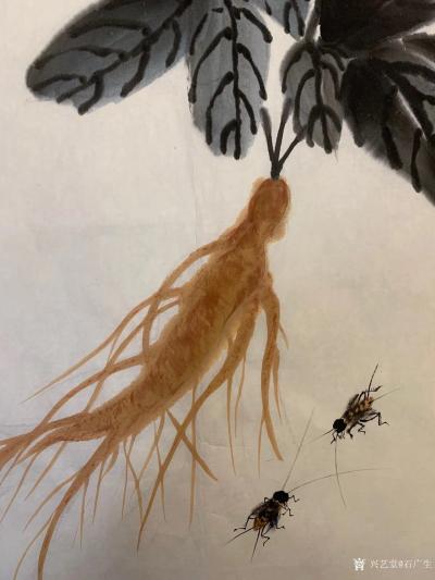 石广生日记-国画写意画《人參原本是草根，陌巷古来出英雄。》；庚子年冬月石广生创作作品。
画【图3】