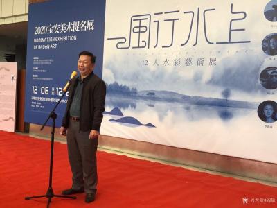 阎敏收藏-风行水上 •2020宝安美术提名展——12人水彩艺术展暨宝安美协水彩画学会授牌仪【图1】