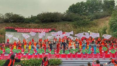 阎敏收藏-2020年宝安区文艺志愿服务表彰汇演暨首届航程簕杜鹃文化艺术周启动仪式。
12【图6】