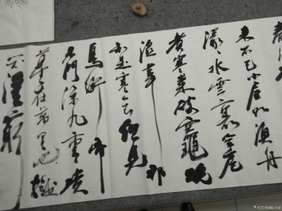 陈文斌日记-现场行书书写苏东坡《黄州寒食诗一首》！
自我来黄州，已过三寒食。年年欲惜春，春【图1】